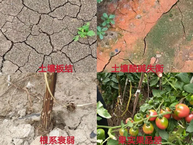 1619055783183796.png 6.png