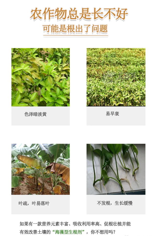 1619062012502997.png 1.png