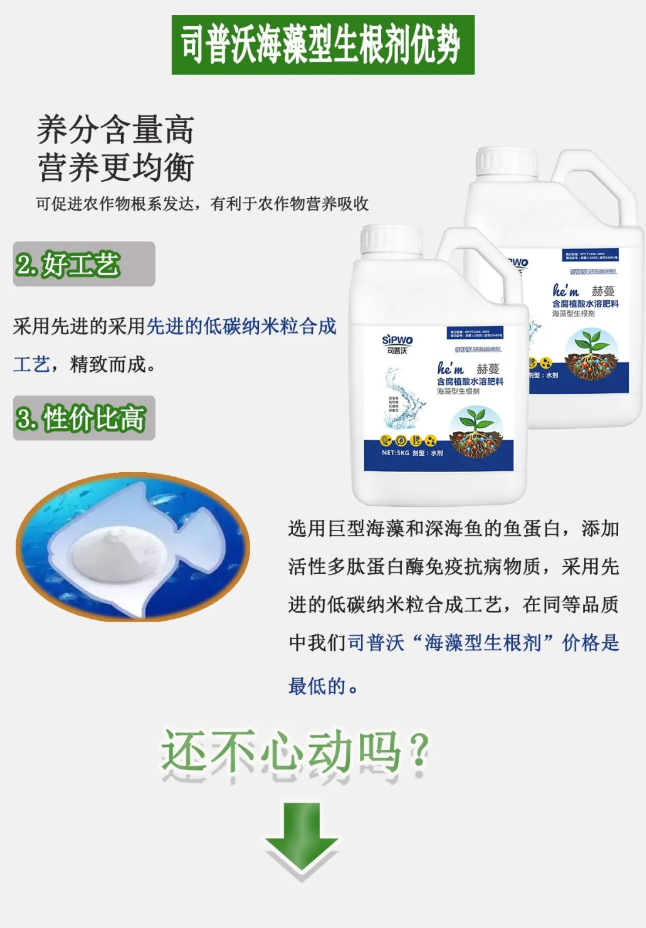 1619062268144929.png 3.png