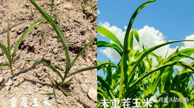 1622706035854667.png 微(wēi)信圖片_20210603154015.png