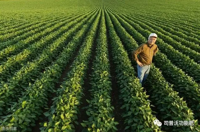 七種不(bù)同作(zuò)物(wù)的(de)科(kē)學輪換茬口種植？看(kàn)了(le)讓你(nǐ)不(bù)增産都(dōu)難！