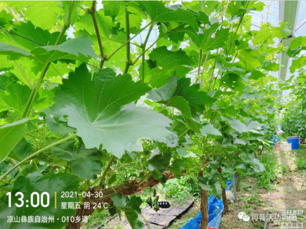 1622708110977019.png 微(wēi)信圖片_20210603161459.png