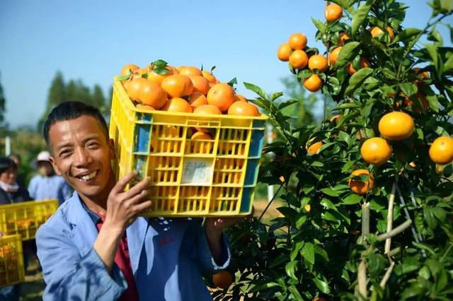 1629083034238740.jpg src=http___5b0988e595225.cdn.sohucs.com_q_70,c_zoom,w_640_images_20181215_08694c5722314f8391ed336b9751f6ad.jpeg&refer=http___5b0988e595225.cdn.sohucs.jpg