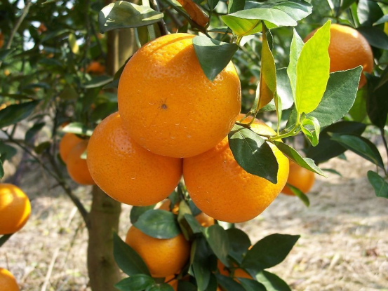 1631437340203371.png image.png