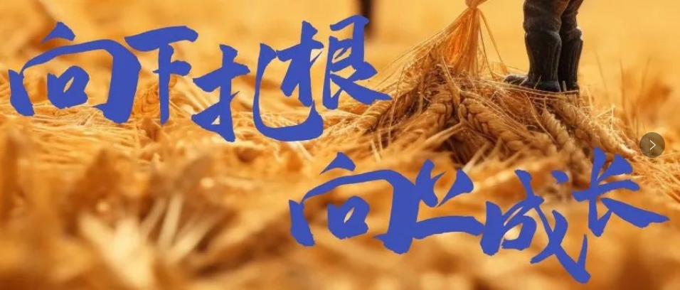 向下(xià)紮根,向上(shàng)成長(cháng),司普沃6月(yuè)市(shì)場(chǎng)服務一(yī)線效果反饋