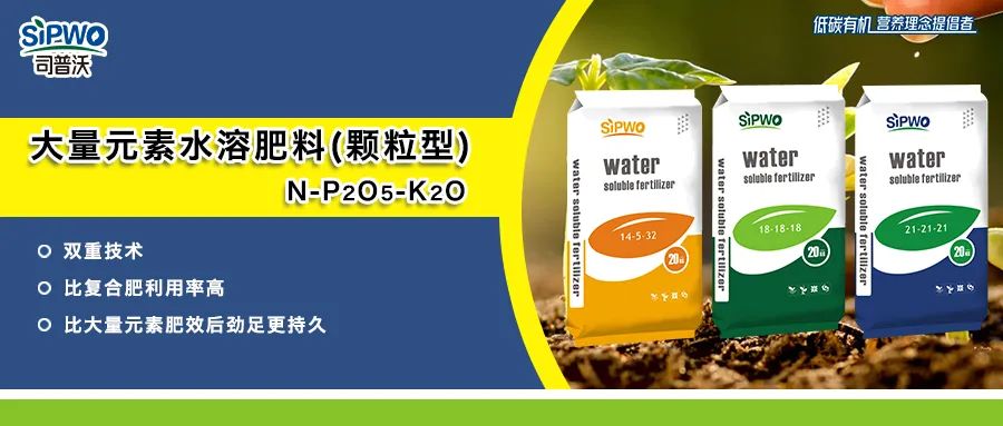 赫蔓-大(dà)量元素水(shuǐ)溶肥料_顆粒型|肥效持久,後勁足